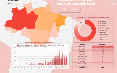 Mapeamento do Corona Vírus nos Estados da Amazônia Legal